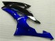 Bleu Noir Carrosserie R6 08-16