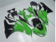 Vert Noir Carrosserie ZX6R 09-12